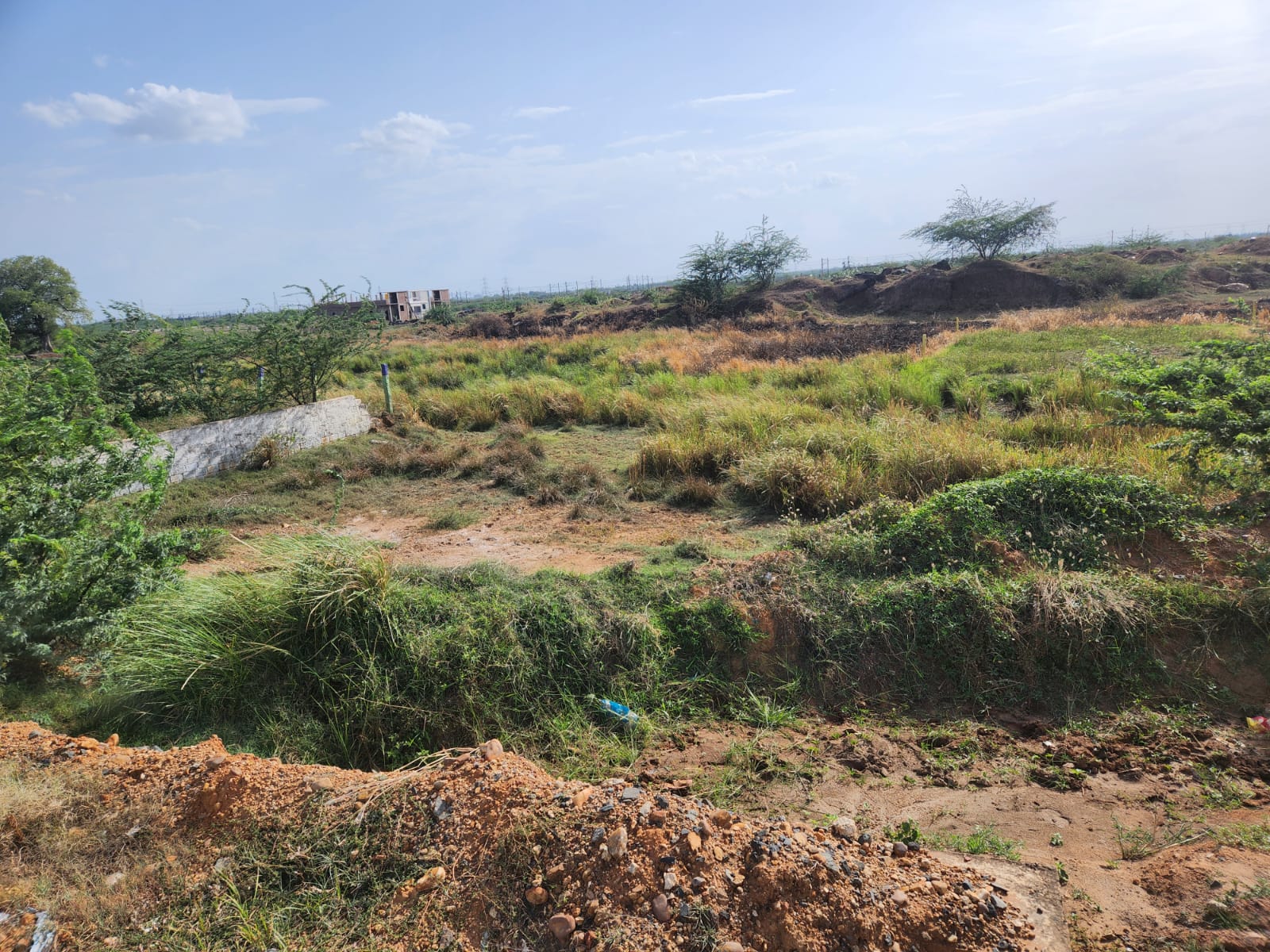 Commercial Development Land - Near Nellore Toll Plaza  - Image 3